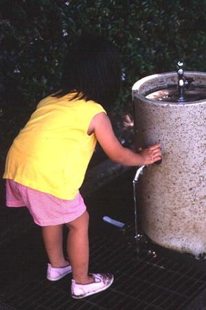 千葉県柏市のビジネスホテル｜東横INN柏駅東口の特徴とアクセス情報