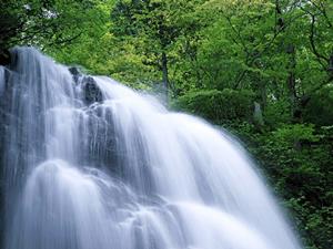 【赤羽駅から徒歩3分】東横INN赤羽駅東口の魅力と詳細情報完全ガイド
