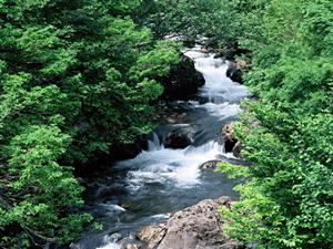 静岡駅から徒歩5分の高評価シティホテル「中島屋グランドホテル」のレストランと宿泊プラン完全ガイド