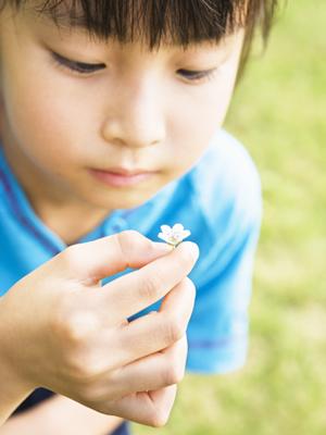 愛媛県新居浜市にある東横INN新居浜駅前の魅力と概要