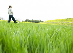 JR九州ホテル鹿児島の魅力と特徴