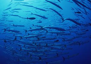 名古屋駅徒歩3分のビジネスホテル「東横INN名古屋駅新幹線口」の詳細と特徴