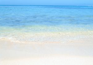 札幌駅南口のビジネスホテル【東横INN札幌駅南口】の魅力と利用ガイド