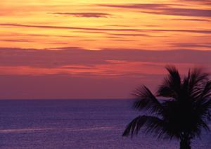 東京都調布市のビジネスホテル：東横INN調布京王線布田駅の魅力と詳細情報