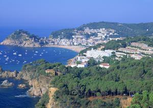 西条駅から徒歩1分！ビジネスや観光に最適な東横INN東広島西条駅前の魅力と詳細情報