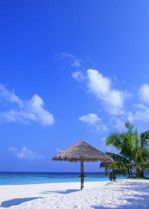 愛知県常滑市に位置する【公式】東横INN中部国際空港1：快適な宿泊と便利なアクセスを提供するビジネスホテル