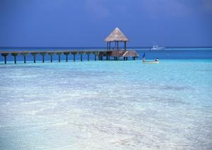 静岡県御殿場エリアの快適なビジネスと観光拠点｜東横INN御殿場駅前の魅力と利便性
