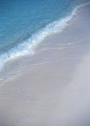 東横INN大阪JR野田駅前：便利なアクセスと快適な宿泊体験を提供するビジネスホテルの魅力