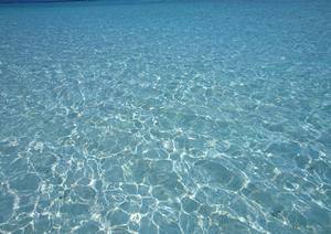 【公式情報を元に解説】東横INN品川駅高輪口の魅力と詳細ガイド