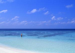 静岡駅近くの快適な宿泊を提供!ガーデンホテル静岡の魅力と最新情報